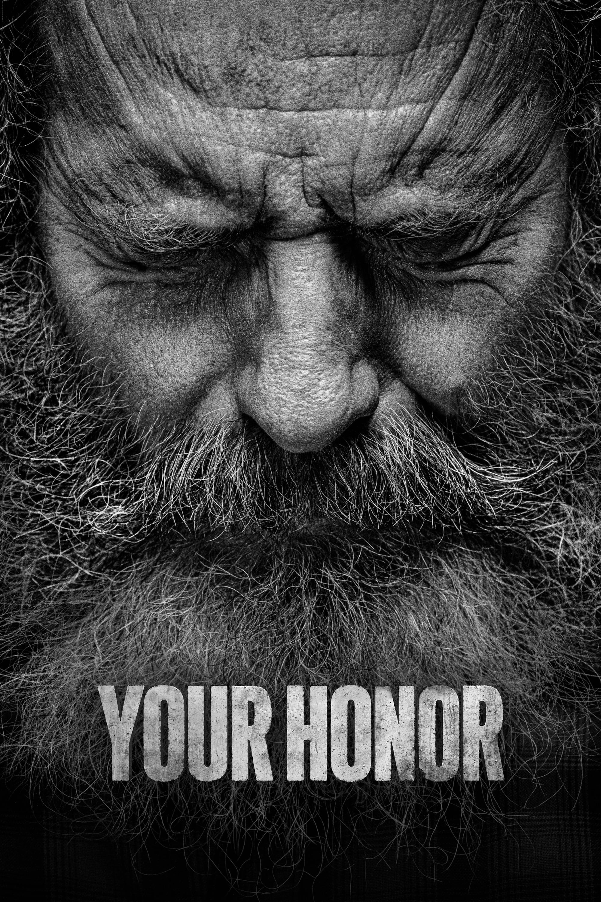 Your Honor [236193] (A1607335119) [[TV Shows]] --Plex--